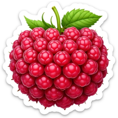 Raspberry sticker
