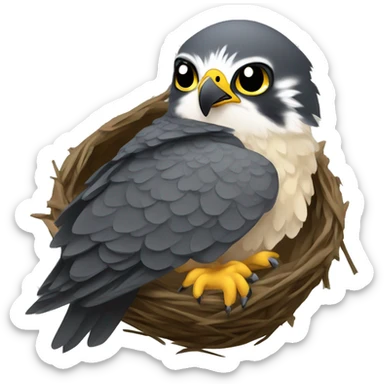 peregrine falcons in nest sticker