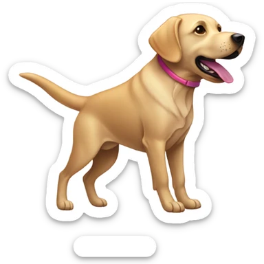Ombre Labrador throwing a Frisbee   sticker