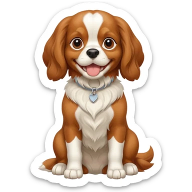 Cavalier King Charles Spaniel dog Preliminary Acceptance Inspection sticker
