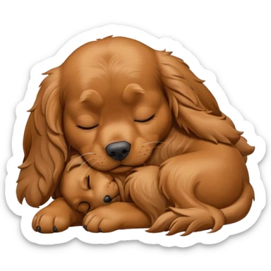 Cachorro Cocker spaniel marrom dormindo olhos fechados, tamanho 128x128pixels sticker