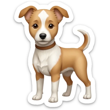 a full body facing front on of a buff white beagle cross jack russell terrier looking dog the size of a kelpie with light brown long ears resting on its face and a light brown patch above one eye and a large snout. the rest of the dog is completely white.  sticker