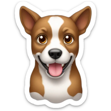 Perrita de raza ratonero bodeguero con orejas de punta, con manto blanco y manchas marrones en la cabeza sticker