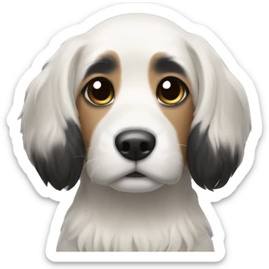 Dog with medium length black hair and white hair on the nose and stomach sticker