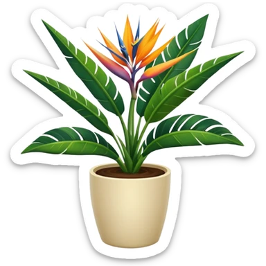 Bird of paradise leafy plant in cream pot  sticker