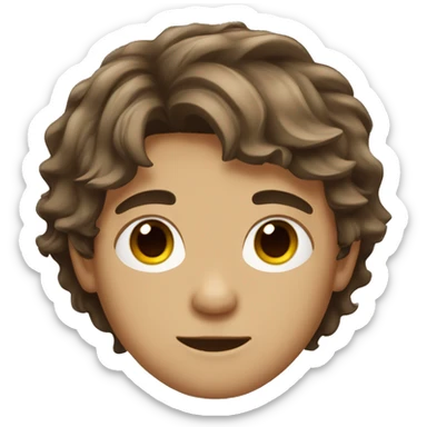 boy with messy medium length brown hair and lightly tan skin sticker