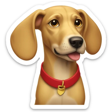 mustard colored dog with very long ears and red collar sticker
