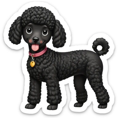 A high-resolution digital illustration of a black poodle in a clean, semi-realistic style. The poodle is shown from the chest up, facing forward with a slight tilt of the head to the left, tongue out playfully. sticker