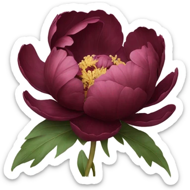 Burgundy peonie  sticker