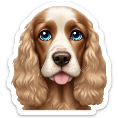 Cocker spaniel with one blue eye one brown eye sticker