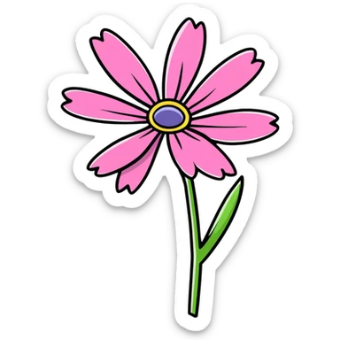 pink African daisy flower, Osteospermum, single flower with pink petals sticker