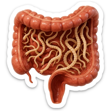 3D cross-section of human intestine with numerous tapeworm parasites attached to the wall, hyperrealistic details, glossy texture, 4K, isolated on white background sticker