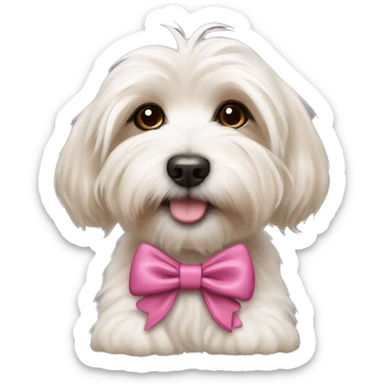 Havanese puppy in bow  sticker