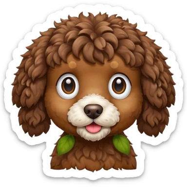 Brown cockapoo  sticker