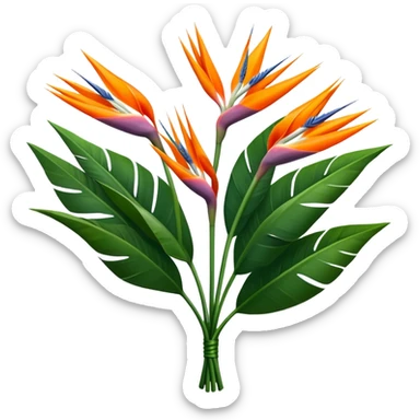 luxuriant, big bouquet Strelitzia Reginae, stem, leaf sticker