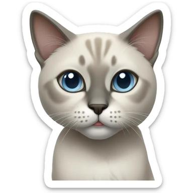 Thai breed cat with a light cream body, dark gray face, ears, and paws. Short fur, sharp ears, and striking light blue eyes with an intense gaze. sticker