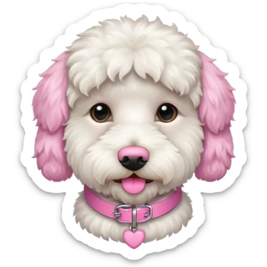 white labradoodle dog pink collar sticker