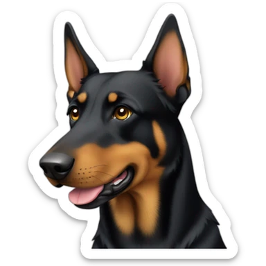 one beauceron sticker