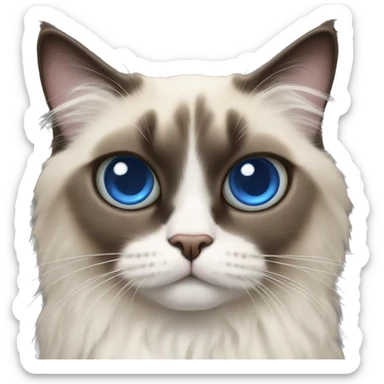 Ragdoll cat with a triple eyes sticker