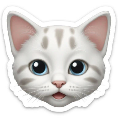 kitten with awe face  sticker