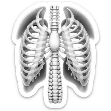 Ribcage X ray sticker