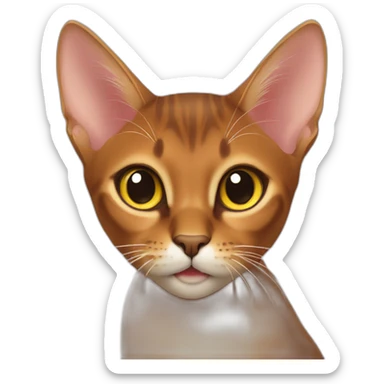 Abyssinian cat play colorful ba l l sticker