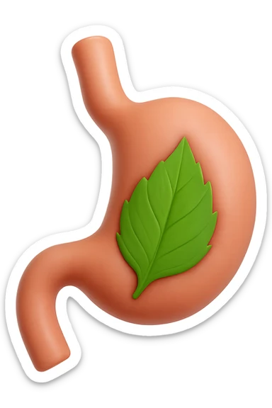 emoji stile iphone 3d di uno stomaco umano con una foglia di carciofo dentro, iperrealistico 4k sticker