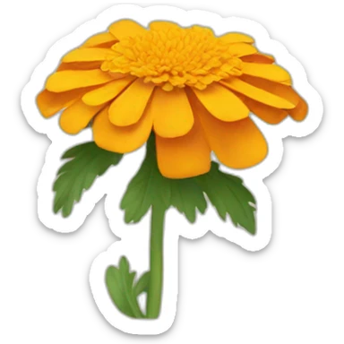 marigold sticker