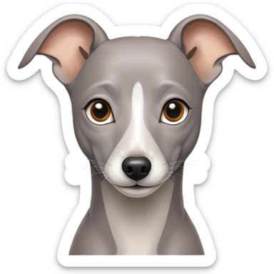 Gray Italian greyhound sticker