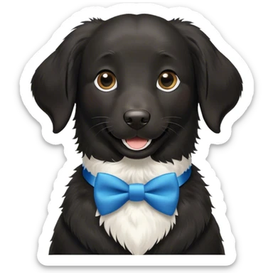 Black, flat-coated retriever, smooth fur with  fluffy ears, smiling face, small patch of white fur in her lower chest, blue bow tie collar sticker
