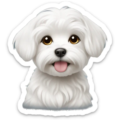  Maltese puppies  sticker