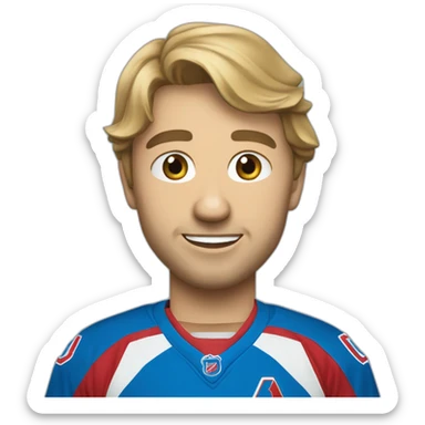 nordiques de québec sticker