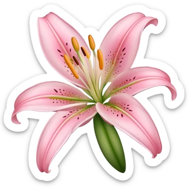 light pink lilium sticker