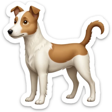 a full body large white parson russell looking dog the size of a kelpie with light brown flapped down ears and a light brown patch on one eye and a large snout sticker