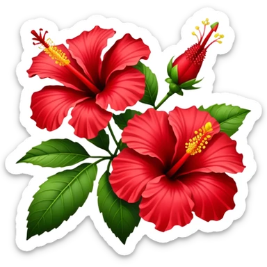 Jamaica flower  sticker