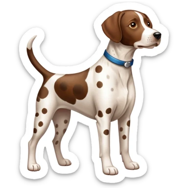 GSP dog sticker