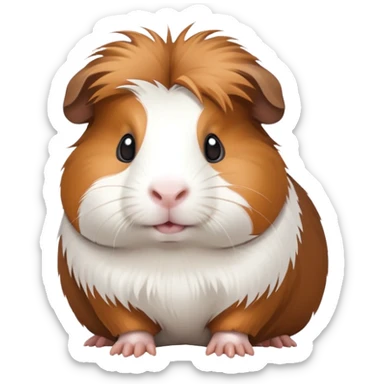 Meerschweinchen  sticker