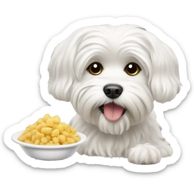 Maltese dog eating  sticker