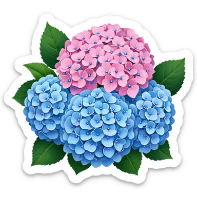 Hydrangea pink and blue mixed sticker