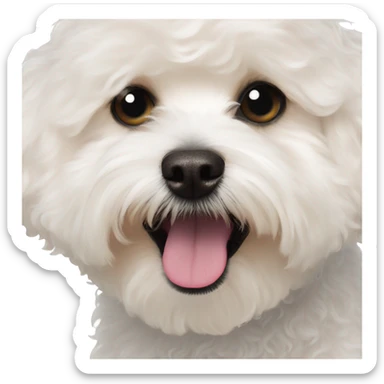 White curly maltipoo bigger hair sticker