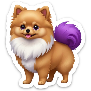 Pomeranian dog standing with a purple and red tail sticker