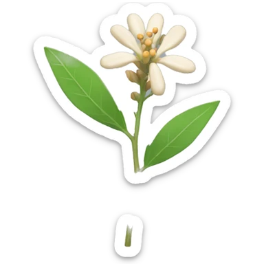 Ashwagandha plant of flower sticker