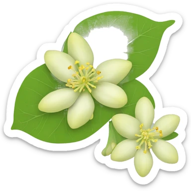 Ashwagandha flower with greenish-yellow petals and a central cluster of tiny yellow stamens emojis sticker
