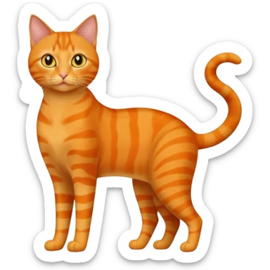 full body solid orange domestic shorthair slim cat with yellow/orange eyes playing sticker