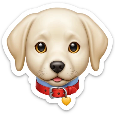 white Labrador retriever dog with red collar sticker