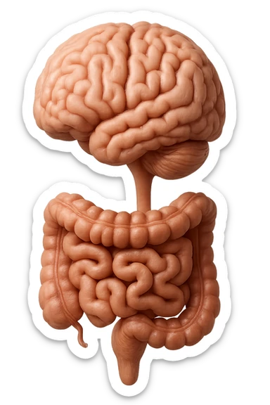emoji stile iphone in 3d di cervello e intestino collegati verticalmente, iperrealistico 4k sticker
