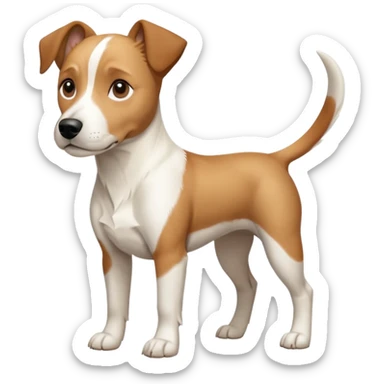 a full body facing front on of a buff white beagle cross jack russell terrier looking dog the size of a kelpie with light brown long ears resting on its face and a light brown patch above one eye and a large snout. the rest of the dog is completely white.  sticker