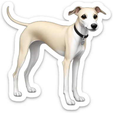 a beige whippet walking on a leash, with a dark snout, black and white mouth patchy and black angel wing like eyes sticker