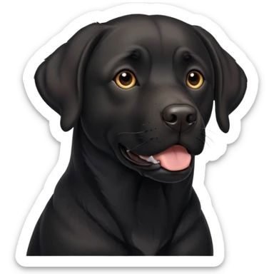 Perro Labrador  negro adulto con la mandíbula  un poco más marcada sticker