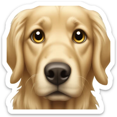 Ashy blonde Golden retriever with big head sticker